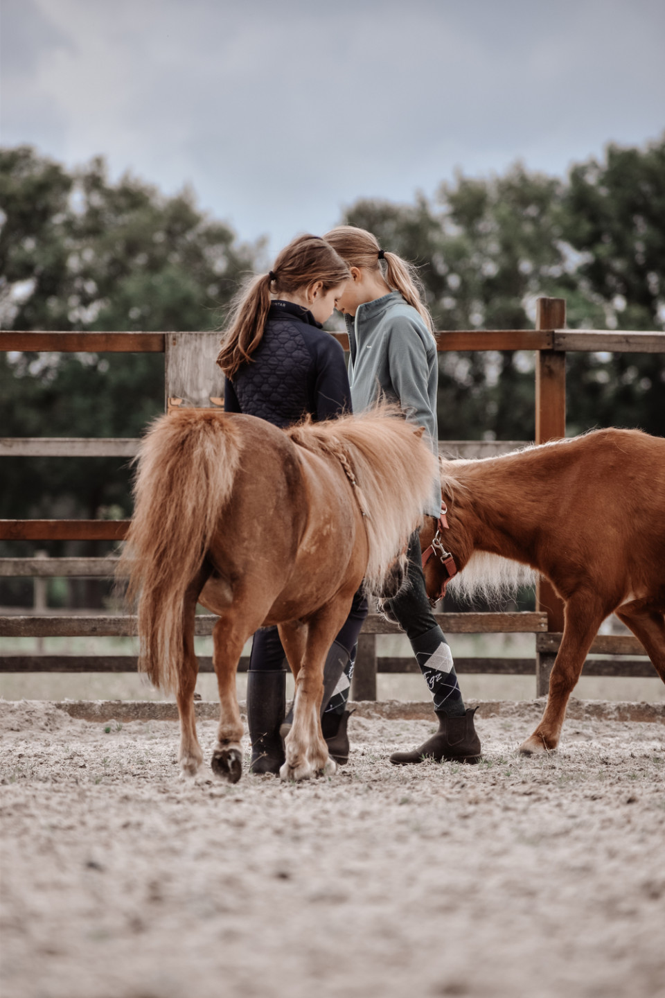 Vb ponypower